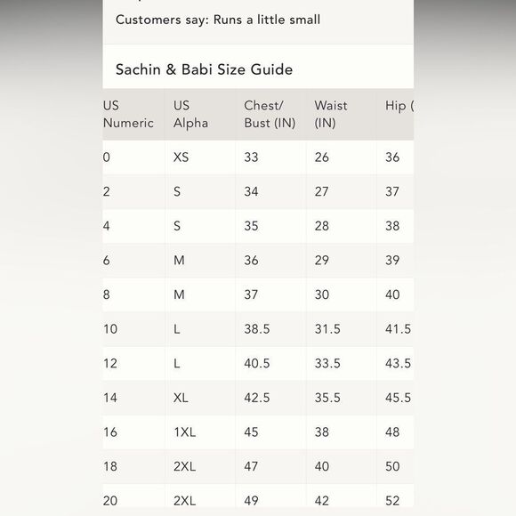 BHLDN Sachin & Babi Hadley V-Neck Back-Bow Empire Gown/ Size 4 - Picture 9 of 10